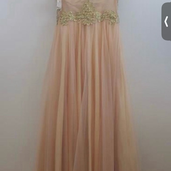 Elegant Gold and Pink Gown - Picture 3 of 6